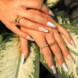 Monaco Shine Preston 