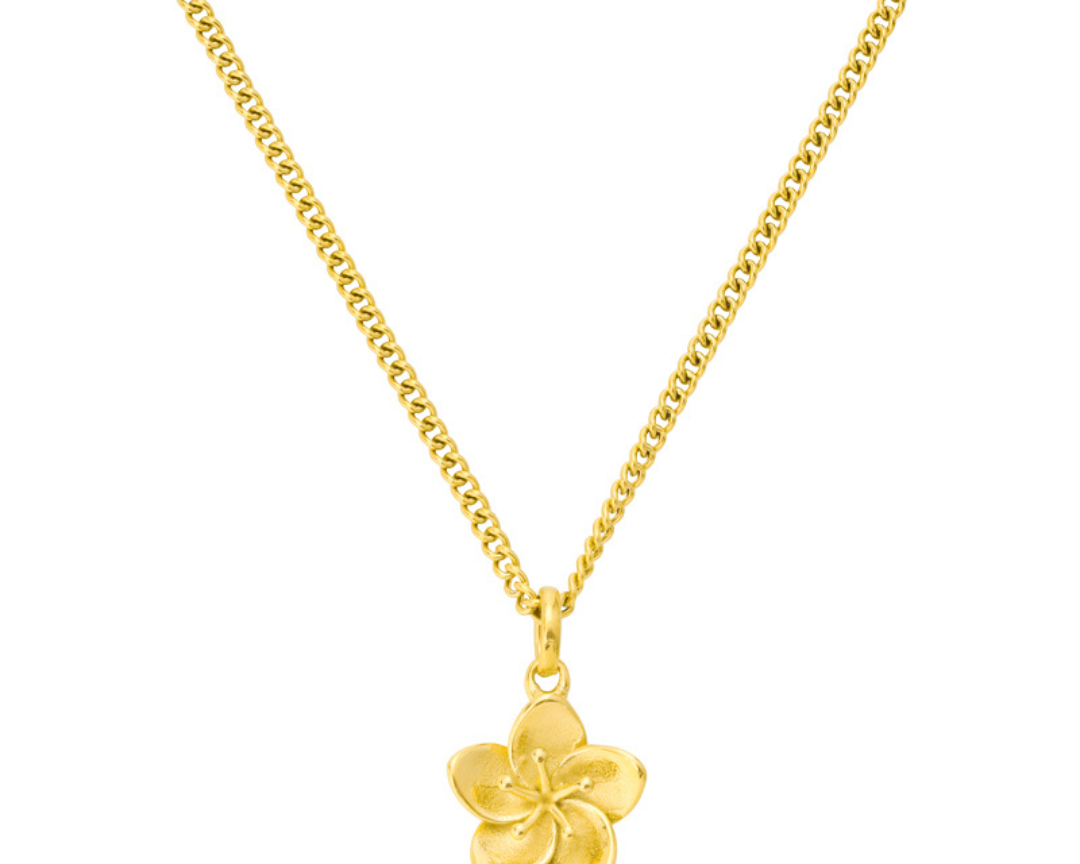 Ibiškový náhrdelník 